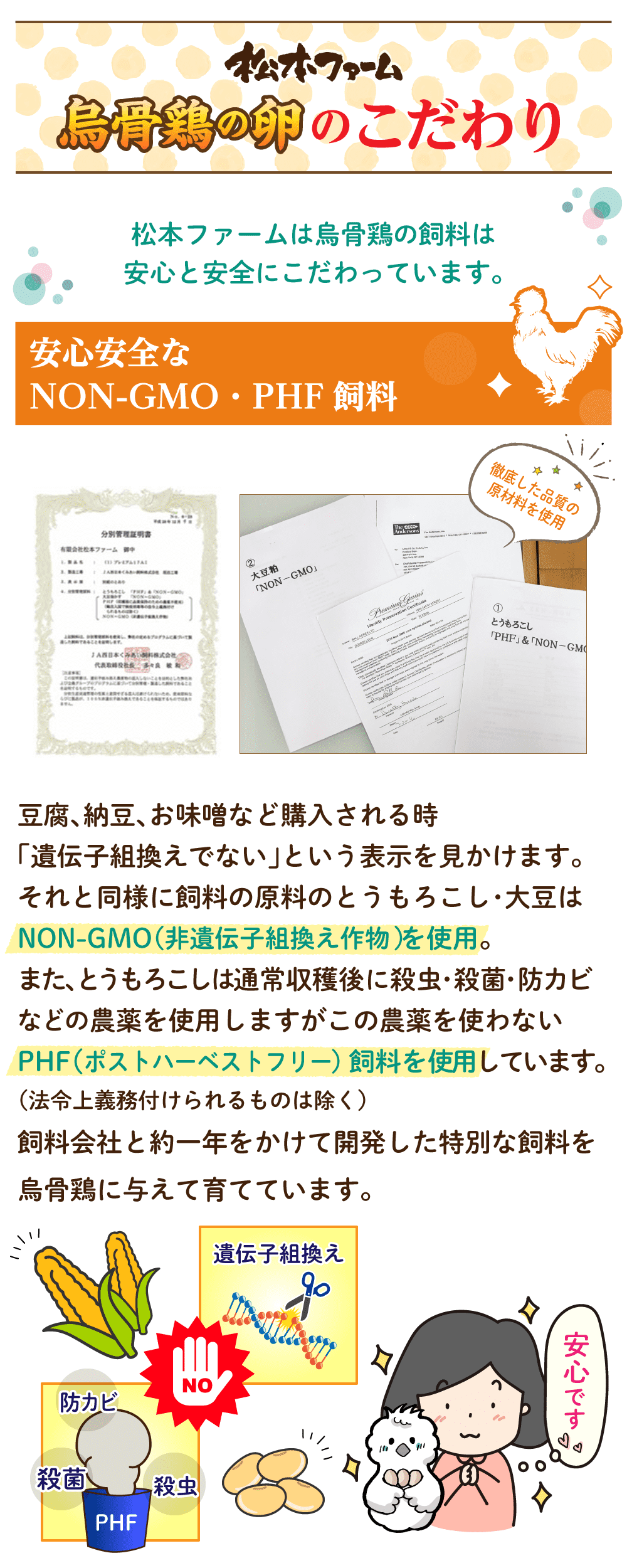 「松本ファーム烏骨鶏の卵のこだわり」松本ファームは烏骨鶏の飼料は安心と安全にこだわっています。安心安全なＮＯＮ-ＧＭＯ・ＰＨＦ飼料。徹底した品質の原材料を使用。豆腐、納豆、お味噌など購入される時「遺伝子組換えでない」という表示をよく見かけます。それと同様に飼料の原料のとうもろこし・大豆はNON-GMO（非遺伝子組換え作物）を使用。また、とうもろこしは通常収穫後に殺虫・殺菌・防カビなどの農薬を使用しますがこの農薬を使わないPHF（ポストハーベストフリー）飼料を使用しています。（法令上義務付けられるものは除く）飼料会社と約一年をかけて設計開発した特別な飼料を烏骨鶏に与えて育てています