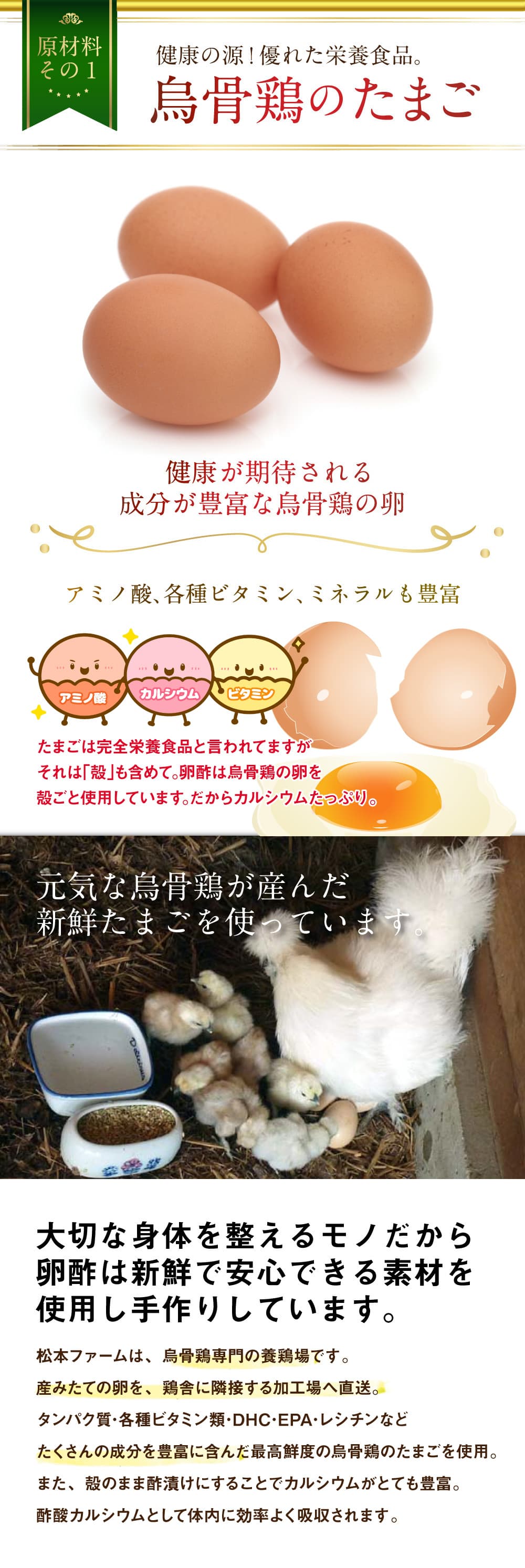 原材料その1。健康の源！優れた栄養食品。烏骨鶏のたまご。健康が期待される成分が豊富な烏骨鶏の卵。アミノ酸、各種ビタミン、ミネラルも豊富。アミノ酸、カルシウム、ビタミン。たまごは完全栄養食品と言われてますが、それは「殻」も含めて。卵酢は烏骨鶏の卵を殻ごと使用しています。だからカルシウムたっぷり。元気な烏骨鶏が産んだ新鮮たまごを使っています。大切な身体を整えるモノだから、卵酢は新鮮で安心できる素材を使用し手作りしています。松本ファームは、烏骨鶏専門の養鶏場です。産みたての卵を、鶏舎に隣接する加工場へ直送。タンパク質・各種ビタミン類・DHC・EPA・レシチンなどたくさんの成分を豊富に含んだ最高鮮度の烏骨鶏のたまごを使用。また、殻のまま酢漬けにすることでカルシウムがとても豊富。酢酸カルシウムとして体内に効率よく吸収されます。