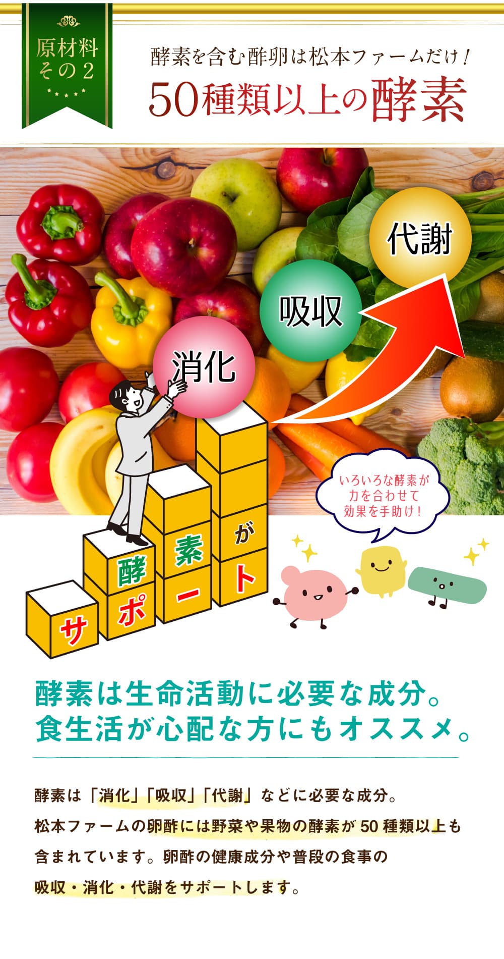 原材料その2。酵素を含む卵酢は松本ファームだけ！５０種類以上の酵素。消化、吸収、代謝。いろいろな酵素が力をあわせて効果を手助け。酵素は生命活動に必要な成分。食生活が心配な方にもオススメ。酵素は「消化」「吸収」「代謝」などに必要な成分。松本ファームの卵酢には野菜や果物の酵素が50種類以上も含まれています。卵酢の健康成分や普段の食事の吸収・消化・代謝をサポートします。