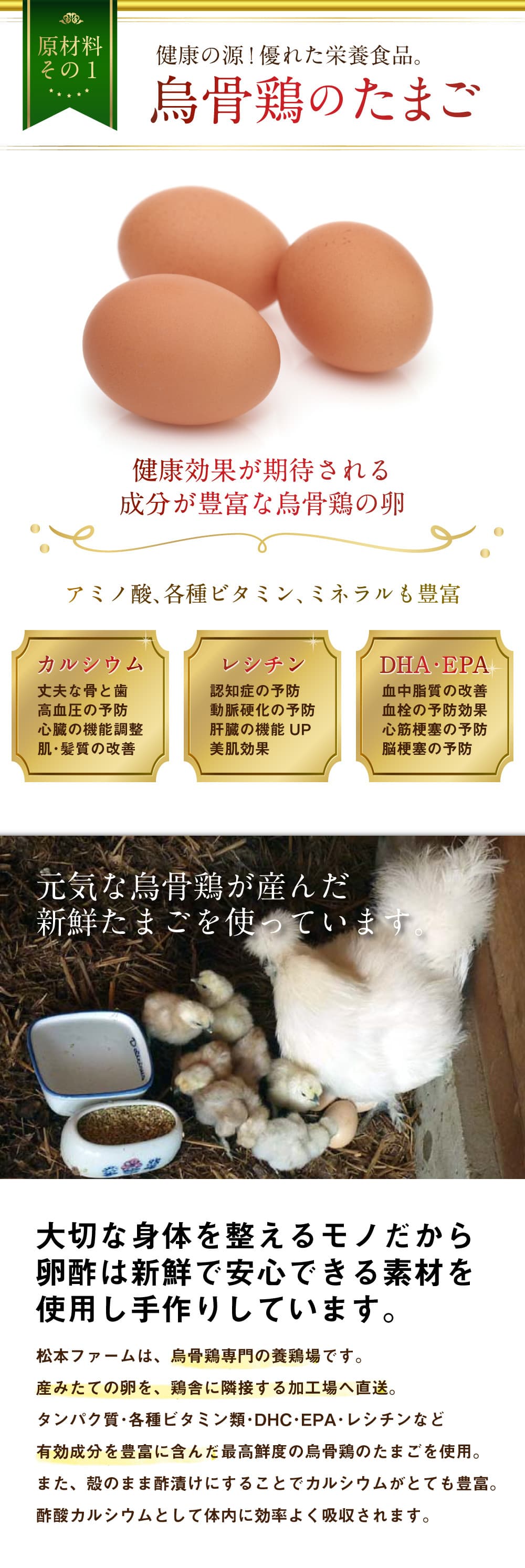 原材料その1。健康の源！優れた栄養食品。烏骨鶏のたまご。健康効果が期待される成分が豊富な烏骨鶏の卵。アミノ酸、各種ビタミン、ミネラルも豊富。カルシウム、丈夫な骨と歯、高血圧の予防、心臓の機能調整、肌・髪質の改善。レシチン。認知症の予防、動脈硬化の予防、肝臓の機能UP、美肌効果。DHA・EPA。血中脂質の改善、血栓の予防効果、心筋梗塞の予防、脳梗塞の予防。元気な烏骨鶏が産んだ新鮮たまごを使っています。大切な身体を整えるモノだから、卵酢は新鮮で安心できる素材を使用し手作りしています。松本ファームは、烏骨鶏専門の養鶏場です。産みたての卵を、鶏舎に隣接する加工場へ直送。タンパク質・各種ビタミン類・DHC・EPA・レシチンなど有効成分を豊富に含んだ最高鮮度の烏骨鶏のたまごを使用。また、殻のまま酢漬けにすることでカルシウムがとても豊富。酢酸カルシウムとして体内に効率よく吸収されます。