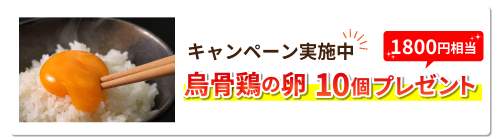 限定プレゼント